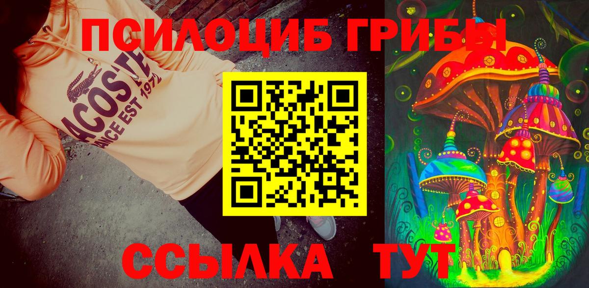 Зима  Псилоцибиновые грибы Magic Shrooms  цены   Вход с VPN 