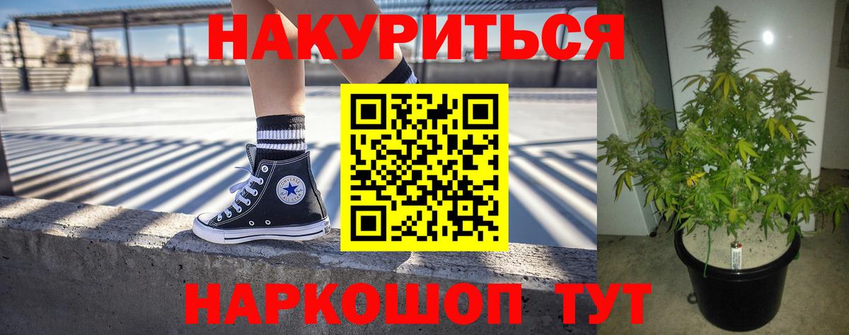 Каннабис семена  Марихуана OG Kush  Зима  МАРИХУАНА Ganja  Конопля Bruce Banner  Вход с VPN 
